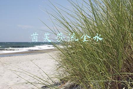 茵芙莎流金水