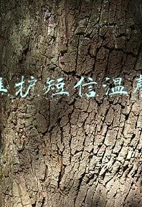 客户维护短信温馨短信