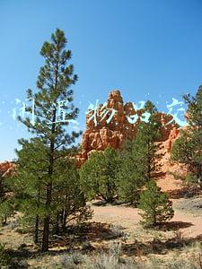 二手闲置物品交易网