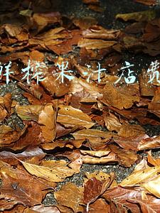 鲜榨果汁连锁加盟-上海鲜榨果汁店加盟哪家好?
