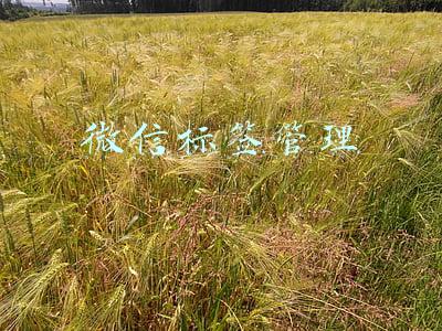 微信标签管理