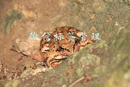 微信标签管理