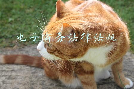 电子商务法律法规教案(电子商务法的学习)