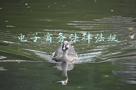 电子商务法律法规