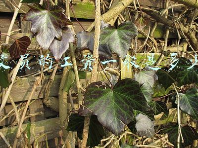 文员的工资一般是多少钱一个月(办公室文员！月薪6K！五险一金)