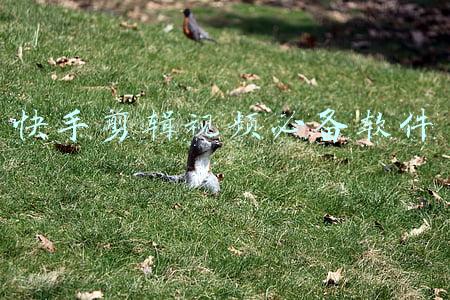 快手剪辑视频必备软件