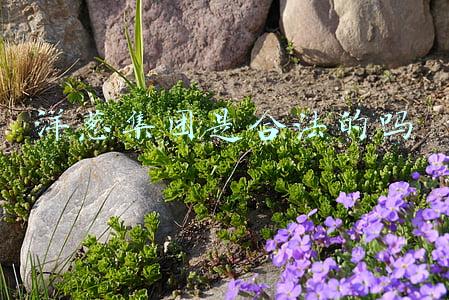 洋葱集团靠谱吗(洋葱集团KOC模式陷“拉人头”争议：支付入门费才有“招商权”加盟商称“变相传销”)