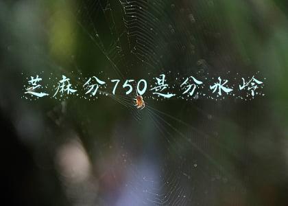 芝麻分750是分水岭