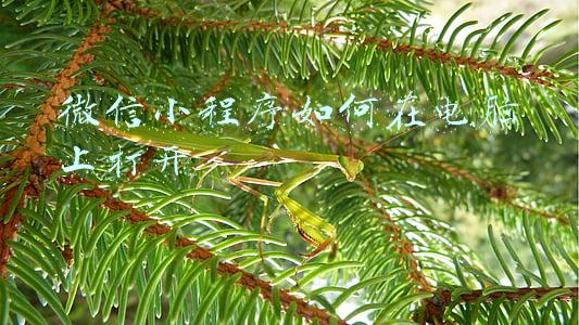 微信小程序如何在电脑上打开