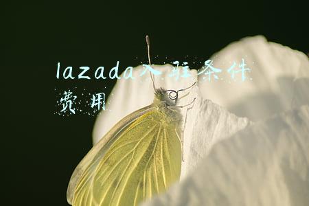 lazada入驻条件费用2020(lazada是什么平台？入驻费用是多少？)