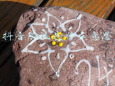 抖音限流是什么意思