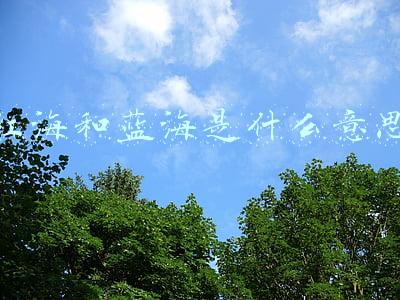 红海和蓝海是什么意思