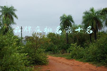 品牌床排名前十名