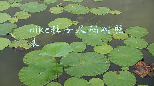nike鞋子尺码对照表