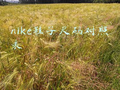 nike鞋子尺码对照表