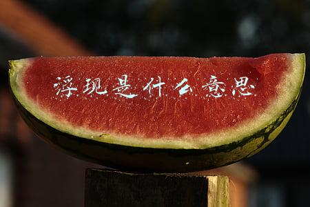 浮现是什么意思