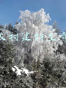 建材生意哪类容易做(做建材6年：我告诉你5个获客方式)
