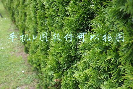 手机p图软件可以抠图