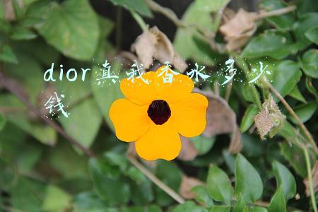 dior真我香水多少钱