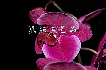 民族工艺品作文(春节系列作文（一共六篇选文）)