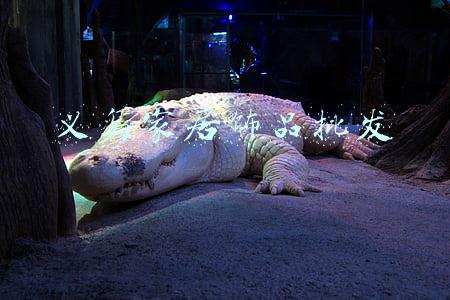 义乌家居饰品批发