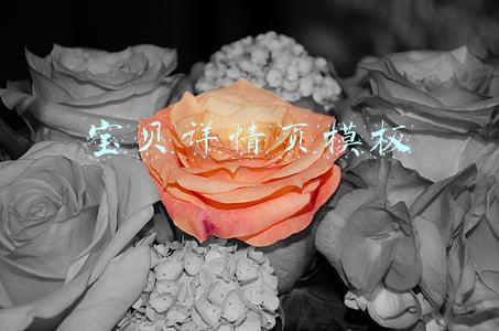 宝贝详情页模板