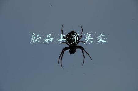 新品上市英文