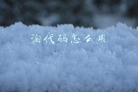淘代码怎么用