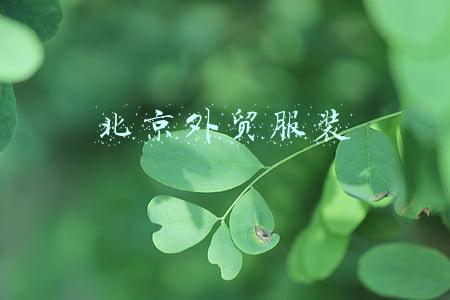 北京外贸服装