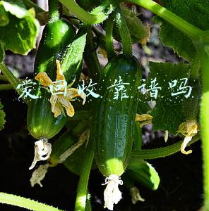 爱回收靠谱吗