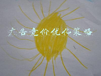 广告竞价优化策略