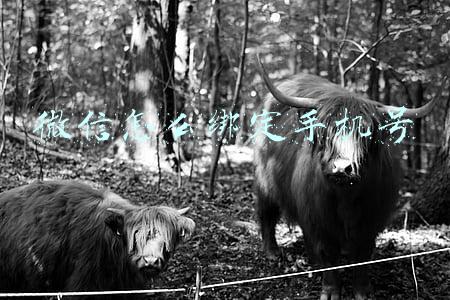 微信怎么绑定手机号