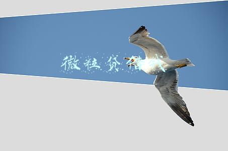 微粒贷借钱