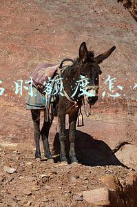 花呗临时额度怎么申请