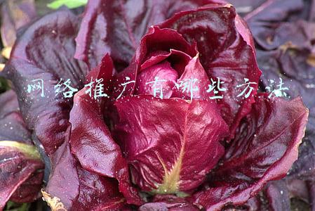 网络推广有哪些方法