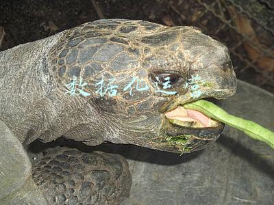 数据化运营的关键在于数据本身而不是人们如何使用数据(「大数据的关键思考系列」16：阿里巴巴的大数据实践（2）)