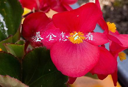 基金怎么看