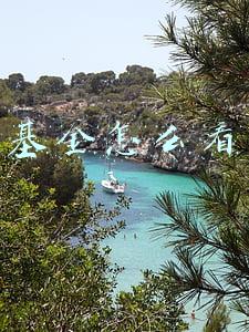 基金怎么看