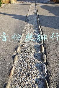 抖音粉丝排行榜
