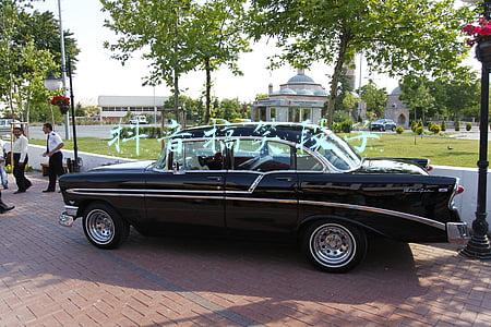 抖音搞笑段子剧本大全(宠物萌宠类阿金短视频剧本抖音快手搞笑段子脚本创作台词文案误会)