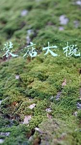 童装加盟多少钱（童装店加盟费多少）