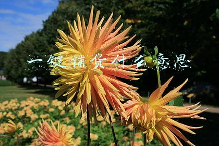 一键铺货什么意思