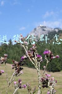 拉人进微信群怎么拉