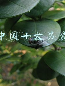 中国十大男装