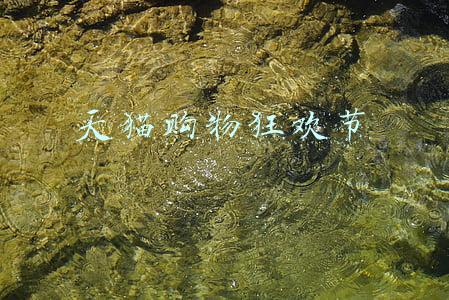 天猫购物狂欢节英文(美媒：2014年互联网产业热词盘点)