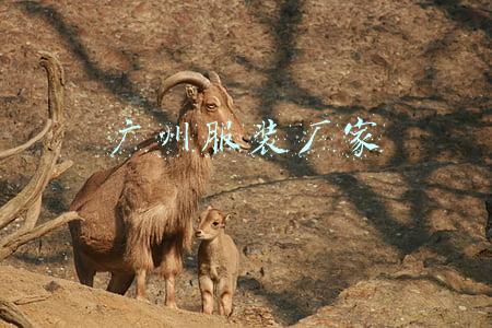 广州服装厂家