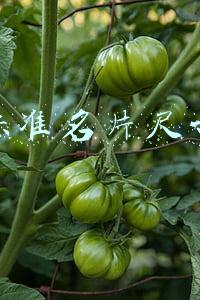 标准名片尺寸