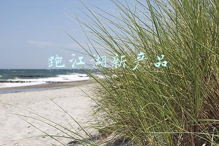 跑江湖新产品