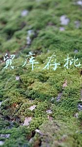 外贸库存批发