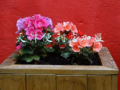 天津便利店加盟